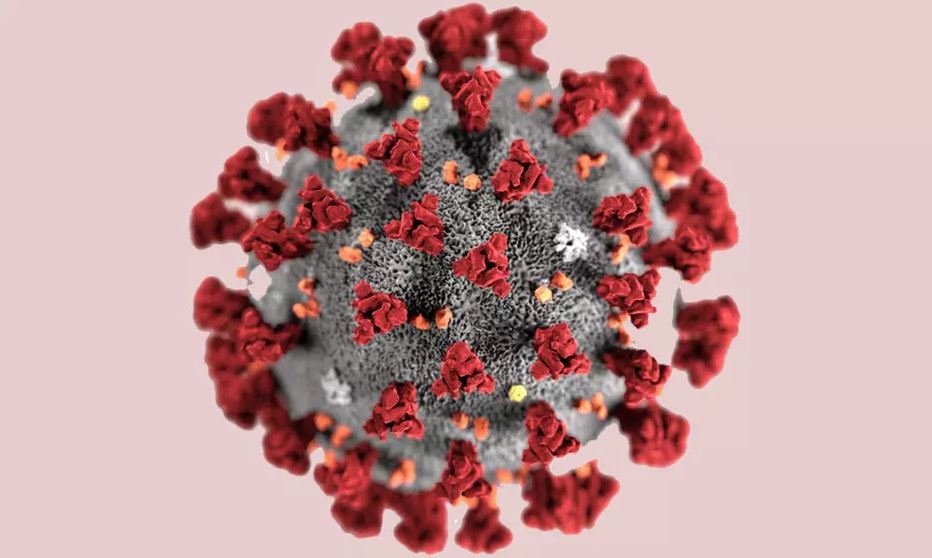 Illustration eines Coronavirus (Credit: CDC/ Alissa Eckert, MS; Dan Higgins, MAM)